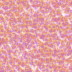 Mult048.bmp