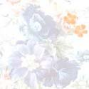 Patt004.bmp