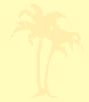 Patt003.bmp
