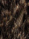 Dark014.bmp