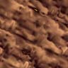 Misc025.bmp