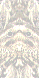 Patt002.bmp