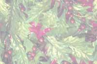 Natu016.bmp