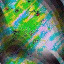 Comp016.bmp