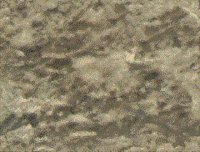 Marb084.bmp
