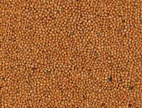 Sand018.bmp
