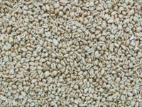Sand015.bmp