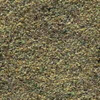 Sand001.bmp