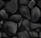 Wall032.bmp
