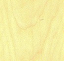 Wood025.bmp