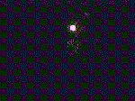 Light025.GIF
