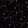Dark123.GIF