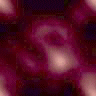 Dark117.GIF