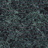 Dark082.JPG