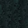 Dark053.JPG