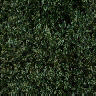 Dark048.GIF