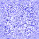 Misc056.GIF