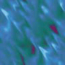 Misc021.GIF