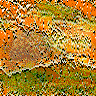 Mult029.GIF