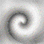 Comp083.GIF