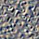 Reli097.GIF