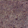 Marb024.GIF
