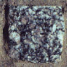 Wall041.GIF