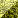 Squar115.JPG
