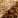 Squar110.JPG
