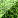 Squar107.JPG