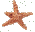 Stars114.GIF