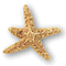 Stars023.GIF