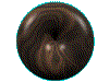 Round023.GIF