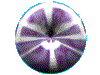 Round019.GIF