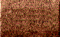Templ141.GIF