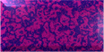 Templ160.GIF