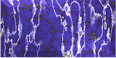 Templ158.GIF