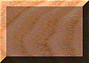 Templ146.GIF