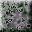 Templ131.GIF