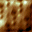 Templ128.GIF