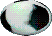 Templ064.GIF
