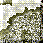 Templ047.GIF
