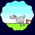 Anim3010.GIF