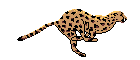 Anim4018.GIF