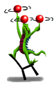 Mozil042.GIF