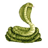 Anima101.GIF
