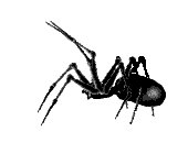 Anima093.GIF