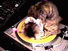 Anima080.GIF