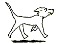 Anima069.GIF