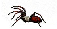 Anima059.GIF